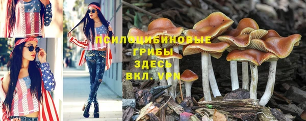 мяу мяу мука Елизово