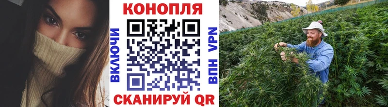 Канабис AK-47  blacksprut как зайти  Новочеркасск 